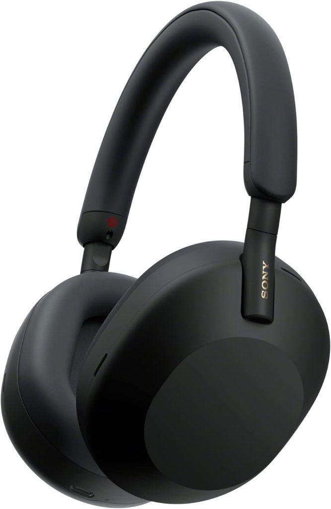 Sony WH vs Sony 1000X THE: Brand Comparison
